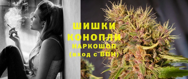Альфа ПВП Нягань